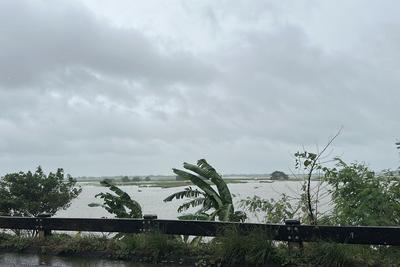 多个热带气旋夹击菲律宾，致19人死亡超333万人受灾