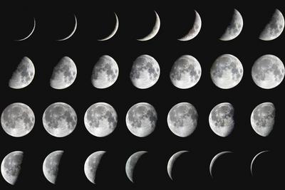 呈“D”形！年度最小上弦月8月1日现身夜空