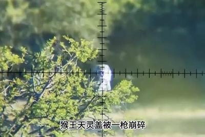 “峨眉山人猴大战”视频造谣节点达11个！警方跨地追踪：多人被处罚