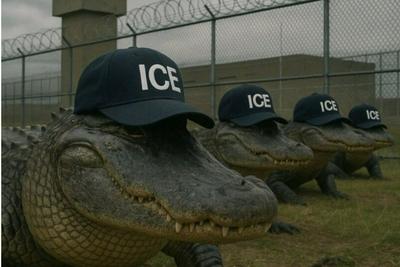 首批被拘留者抵达美“鳄鱼恶魔岛” ，越狱就要喂鳄鱼？