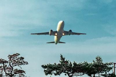 一航班关舱门时发现两人上错飞机，海南航空通报