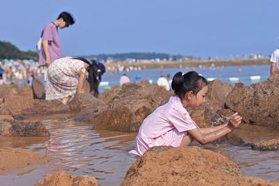 避暑航空铁路批量“上新”引流，青岛上榜暑期热门城市TOP10