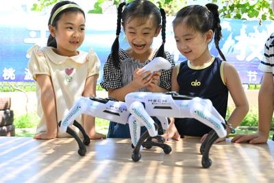 组图：机器狗进幼园