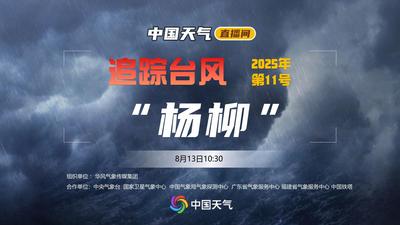 回放 | 追踪今年11号台风“杨柳”