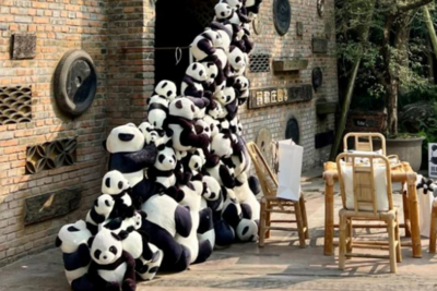 迎接世运会到来，四川104家景区官宣：免票、半价！