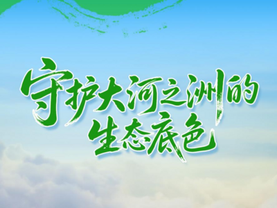 沿着总书记的足迹看山东｜守护大河之洲的生态底色