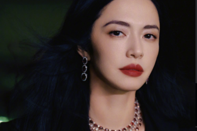 演员姚晨愤怒发文：无法无天，残忍至极！