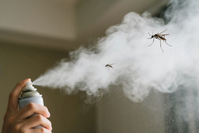 基孔肯雅，到底是啥意思？