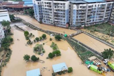 九省份保险业已赔付暴雨灾害损失5.2亿元