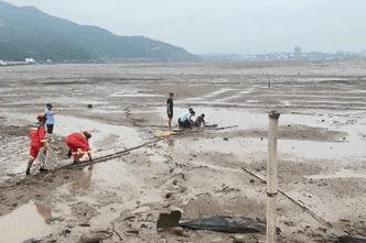 为追跳跳鱼，一男子被“封印”在海滩上，赶海时这些事项要注意