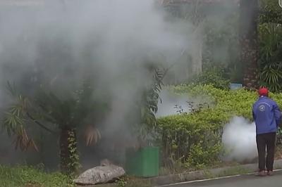 从集中消杀到生物防治，广东全民总动员开启大灭蚊！