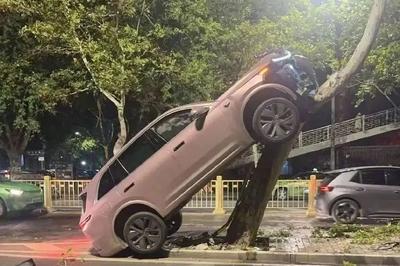 “西安一辆新能源车开到树上”引发关注，警方通报