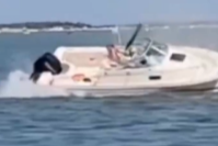 鲸鱼撞船致1人落水，美新泽西州海岸现惊险一幕