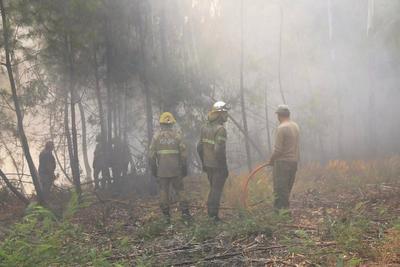 过火面积逾6万公顷，葡萄牙有记录以来最大林火受控