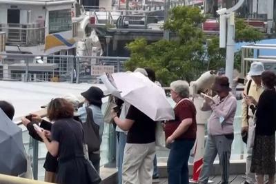 防晒衣的UPF值40+已经足够！专家提示谨防防晒产品宣传误导