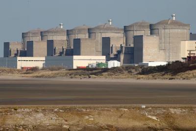 法国最大核电站因水母入侵导致停运