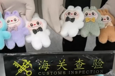 青岛胶东机场海关查获携带入境侵权“LABUBU”产品483件