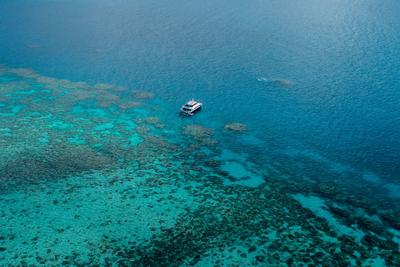 大堡礁珊瑚减少幅度之大创监测39年来纪录