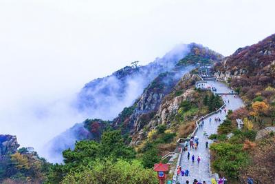 热度持续攀升！山东上半年接待入境游客70.5万人次