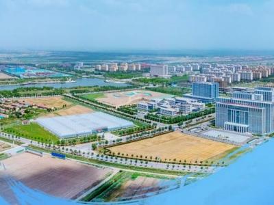 沿着总书记的足迹看山东｜探访盐碱地“绿色奇迹” 端牢中国饭碗新希望