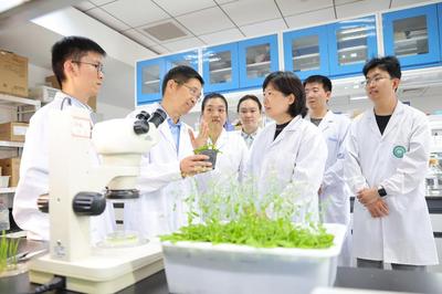 中国团队解锁世纪难题！全球首次揭秘单个体细胞“变”完整植株