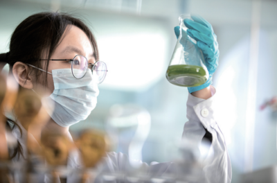 绿水中掘金，小微藻“发酵”大产业