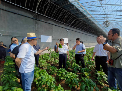 變廢為肥！青島市舉辦生態農業綠色高效生產技術集成與示范現場觀摩活動