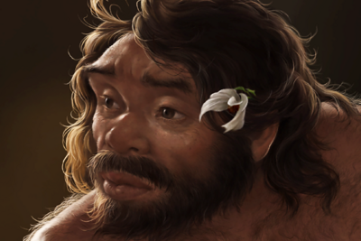 最新研究刷新人类演化时间线