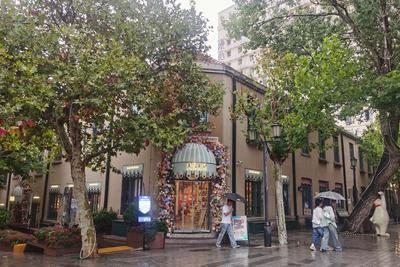雨中的大鲍岛，尽显静谧恬适
