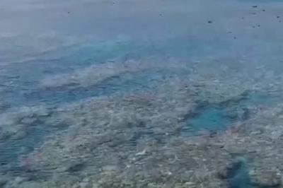 为何建立黄岩岛国家级自然保护区？解读来了→