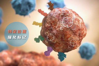 科学家开发新型邻近标记技术，有望精准打击癌细胞