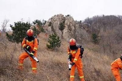 嶗山區全面升級全域智能感知體系，讓火情監測更精準