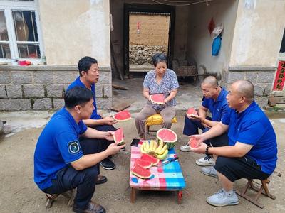 从车厢到菜地，这份真情绵延11年……