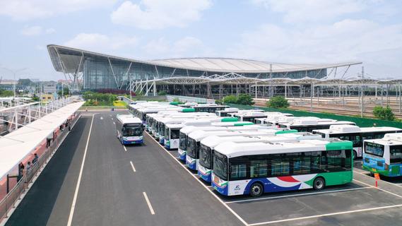 占比达98%，青岛绿色低碳公交车“大行其道”