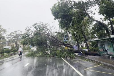 台风“博罗依”登陆越南，已致12人死亡21人失踪