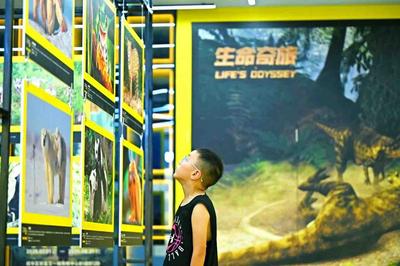 青博XR讓古生物 “活起來”