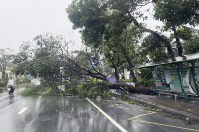 台风“博罗依”在越南登陆，已造成3死2伤、21人失踪
