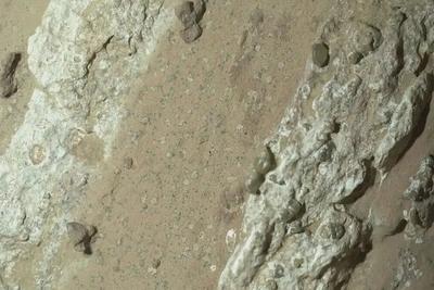 大成果？炒热点？确认“火星生命”先别急