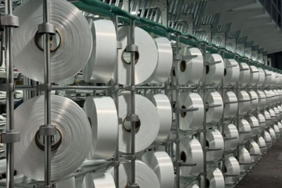 望岳谈｜在变革浪潮中寻光