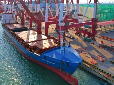 助力海外电站建设！董家口边检站保障“一带一路”航线船舶高效通关