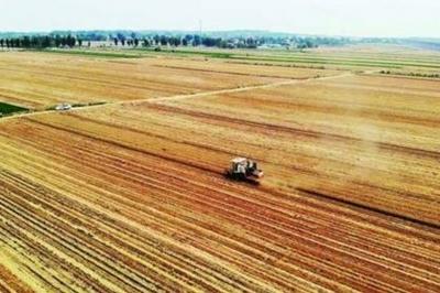 “十四五”时期我国粮食产量迈上新台阶，2024年首次突破1.4万亿斤