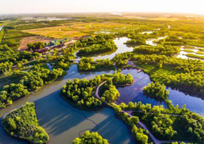 科普之旅已上线！2025年全国科普月山东省主场活动启动