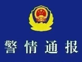 发布传播虚假“警情通报”，网警出击依法查处