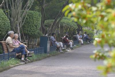 金秋限定！青岛中山公园桂花飘香