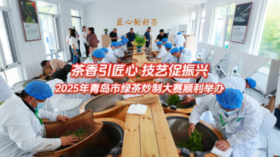 茶香引匠心、技艺促振兴！2025年青岛市绿茶炒制大赛顺利举行