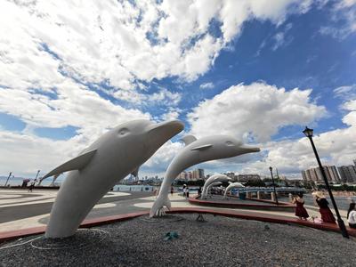 青岛今天多云转晴，市区最高气温20℃，最低气温12℃