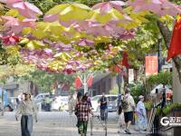 喜迎国庆，青岛历史城区换“红妆”