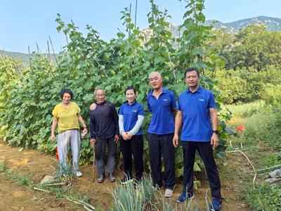 情暖田間地頭！青島八旬孤寡老人的菜園里來了五位熱心人