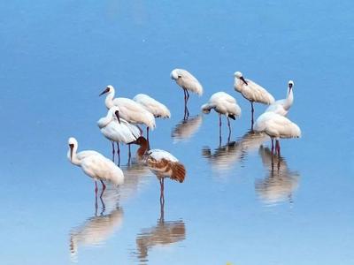 纪录片《大河之洲》第二季震撼来袭，9月27日全球首映！