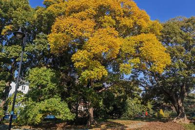 秋的脚步近了！全国入秋进程图出炉